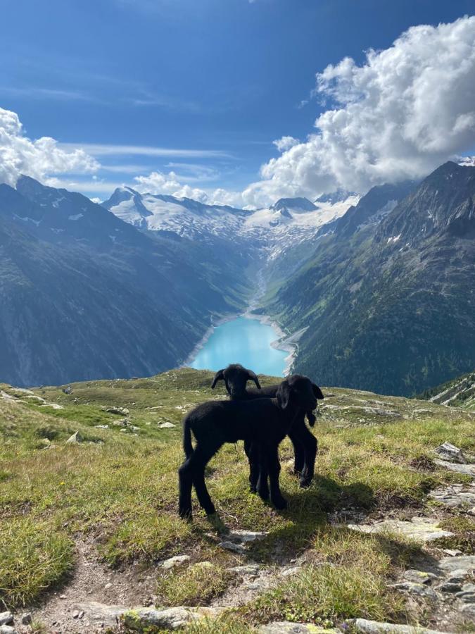 Ferienwohnung Schiestl Zell am Ziller Eksteriør billede