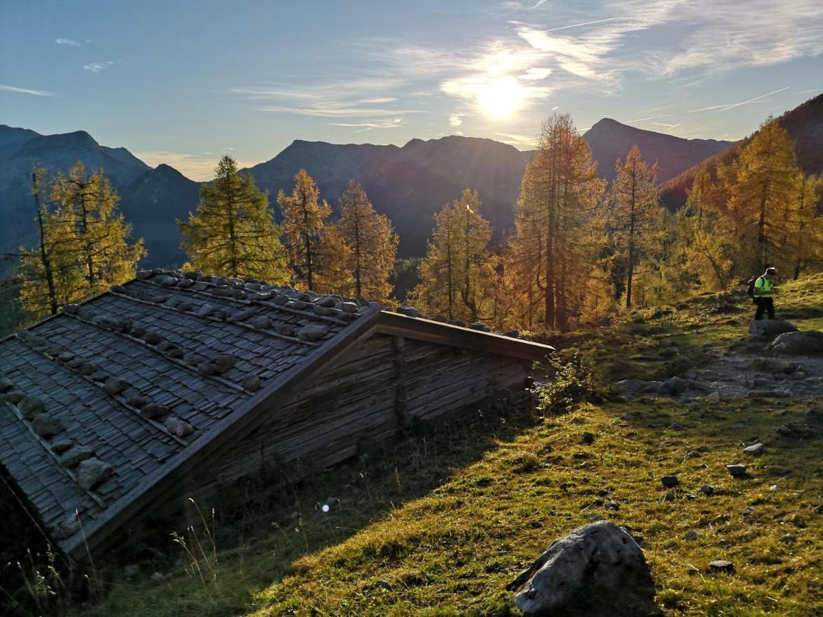 Ferienwohnung Schiestl Zell am Ziller Eksteriør billede